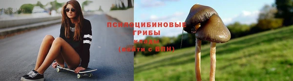 мяу мяу мука Алексеевка