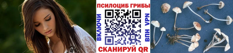 Галлюциногенные грибы GOLDEN TEACHER  купить наркоту  Новодвинск 