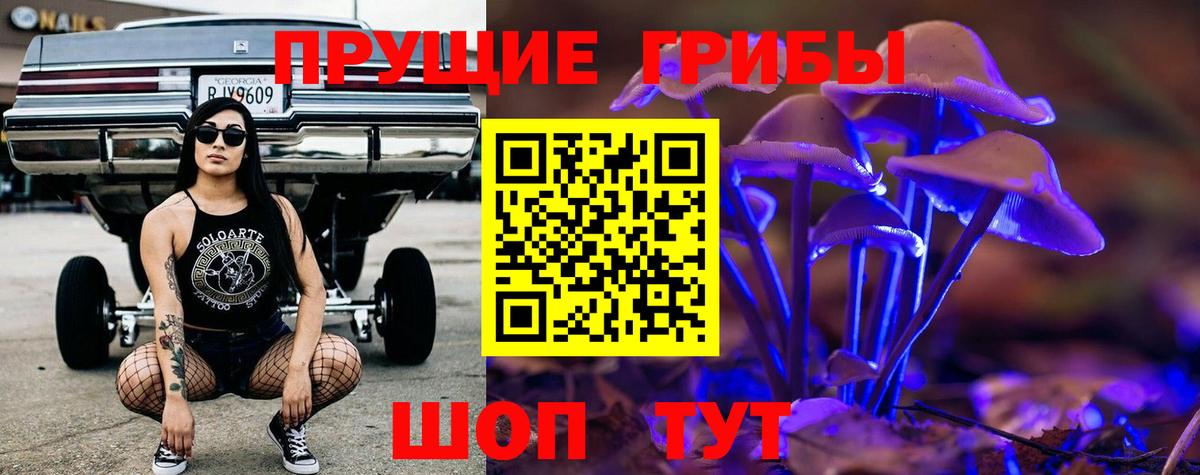 Новодвинск  Псилоцибиновые грибы прущие грибы  Галлюциногенные грибы Psilocybine cubensis  Вход с VPN 